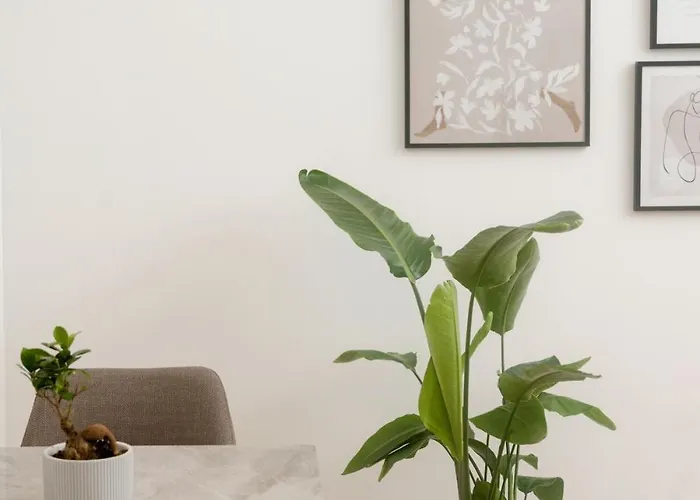 Modern With Garden & Connection
